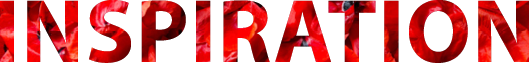 1a-blumen-konzept-erfolg-inspiration