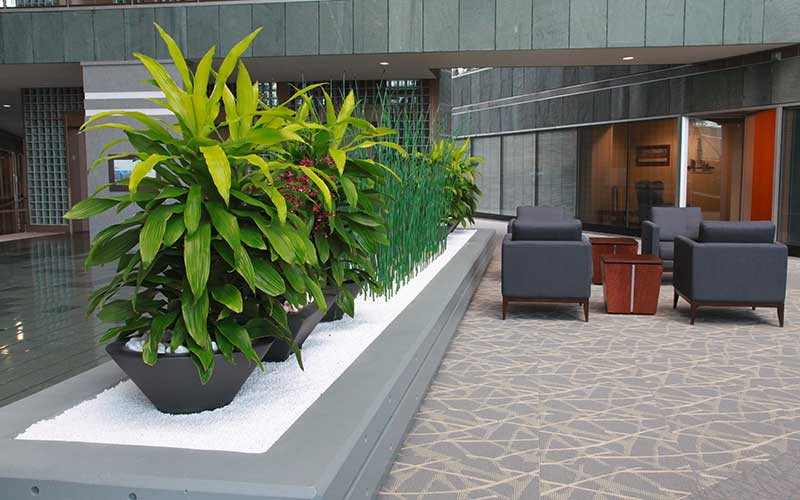 1a-blumen-kamm-florist-Gaggenau-service-raumbegruenung-buero