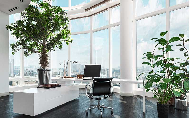 1a-blumen-kamm-florist-Gaggenau-service-raumbegruenung-bueroraum