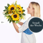 19CD39D0-BD45-49D8-916A-FC6C84C42385